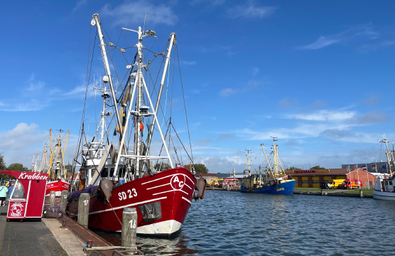 Roter Krabbenkutter und weitere Fischerboote im Hafen von Büsum.