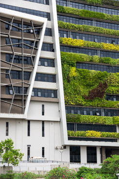 Ein echtes Plus für die Biodiversität: moderne Häuser mit viel Grün.