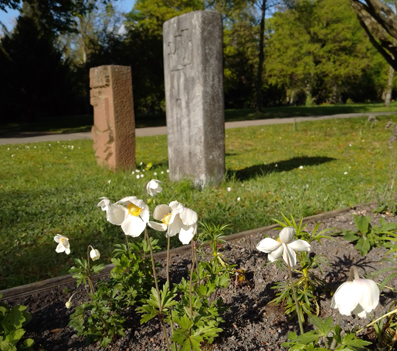 Insektenfreundliche Grabbepflanzung auf dem Stuttgarter Hauptfriedhof.