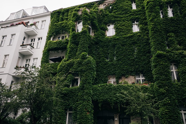 begrüntes Gebäude