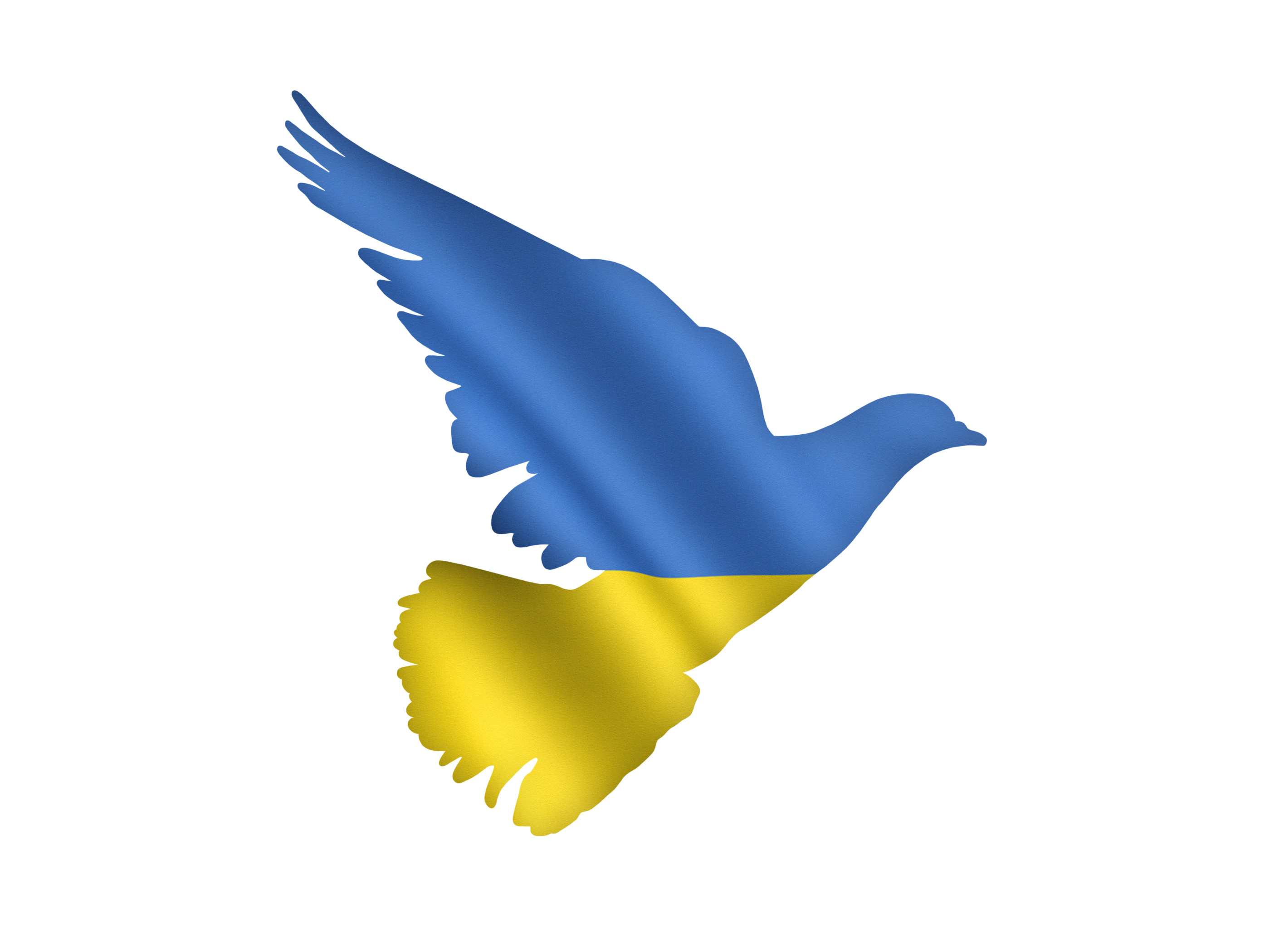 Im Ukraine Krieg setzen Tausende Kommunen auf ein Friedenszeichen