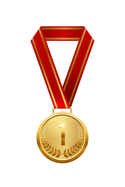 Wahlhelfer des Jahres Medaille