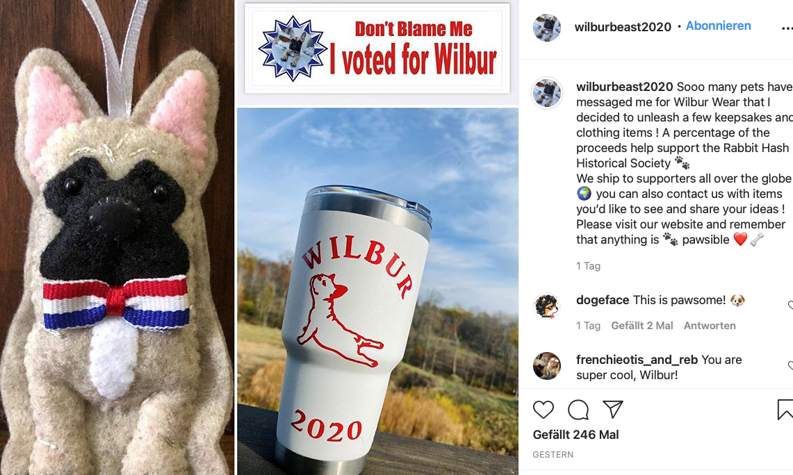 Der tierische Bürgermeister hat die Wahl vor allem über die sozialen Medien geführt - bei Instagram gab es eine ganze Wahlkampagne 