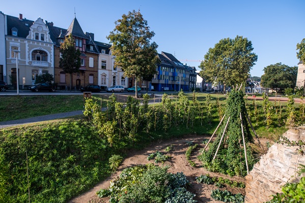 Beete in der Stadt