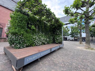 Grünes Zimmer Frankfurt