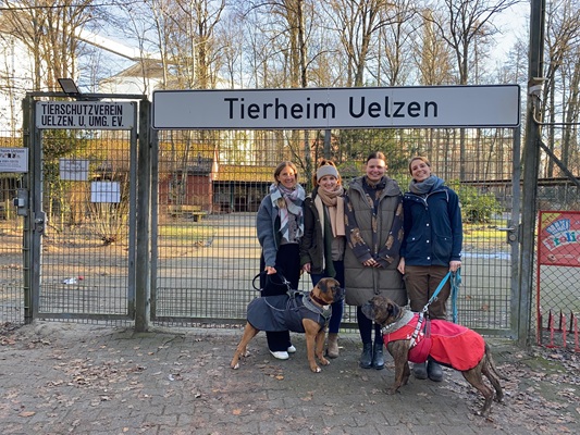 Tierheim Uelzen