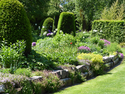 Auch im Kurgarten finden Insekten einen reich gedeckten Tisch.