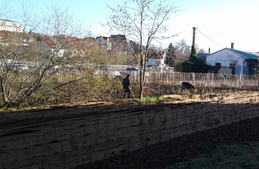 Vorbereitungen für den Gothaer Tiny Forest.