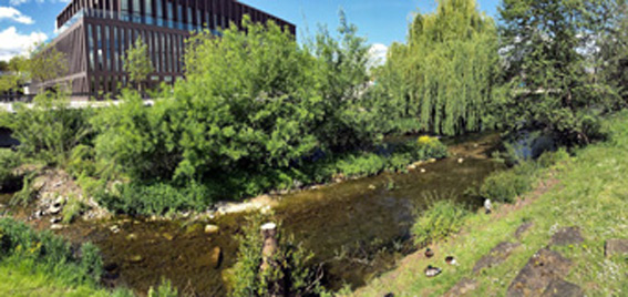 An Stellen wie dieser kann bei Starkregen jede Menge Wasser abfließen.