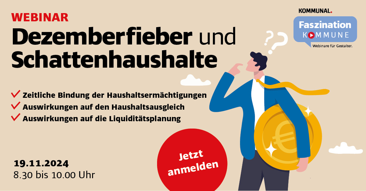 Dezemberfieber und Schattenhaushalte 
