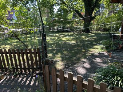 Zaun auf Zaun in Kleinmachnow gegenm Wildschweine