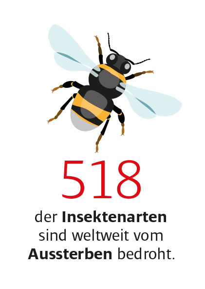 Bienen Grafik