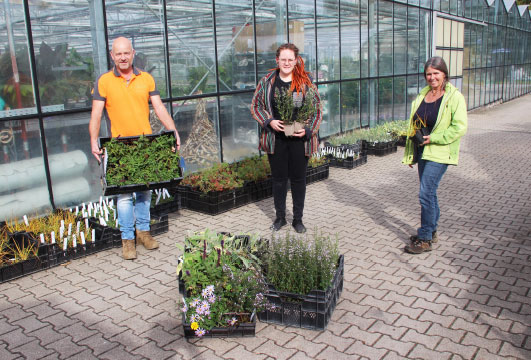 ArtenReich-Kiste mit Stauden für den Vorgarten gegen Schottergärten