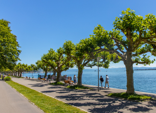 Konstanz wird sauberer mit der kommunalen Verpackungssteuer