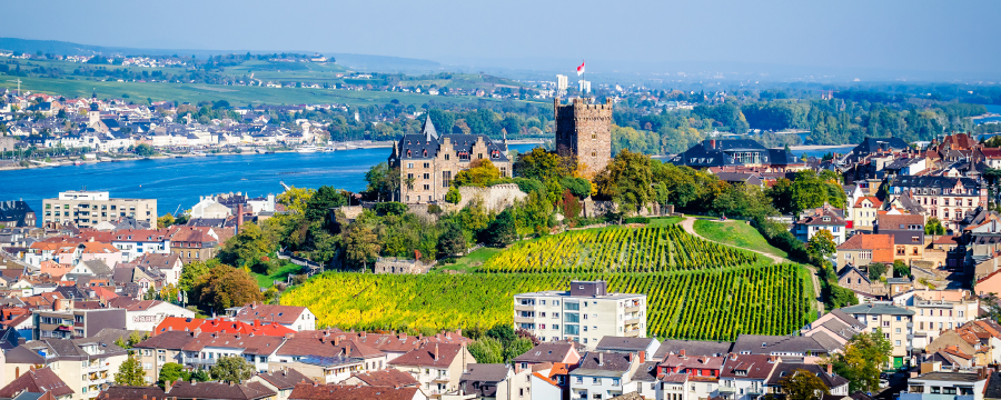 Bingen am Rhein mit der Burg