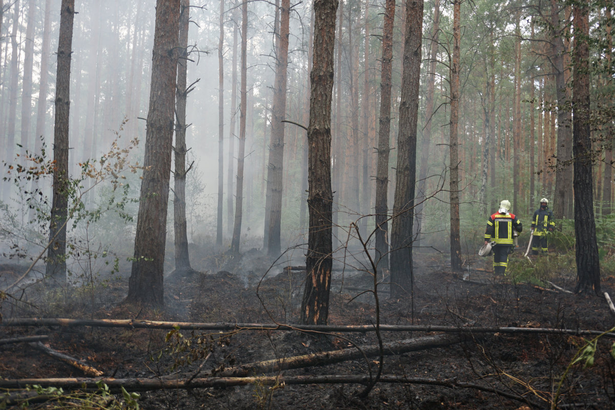 Feuerwehrmann im brennenden Wald