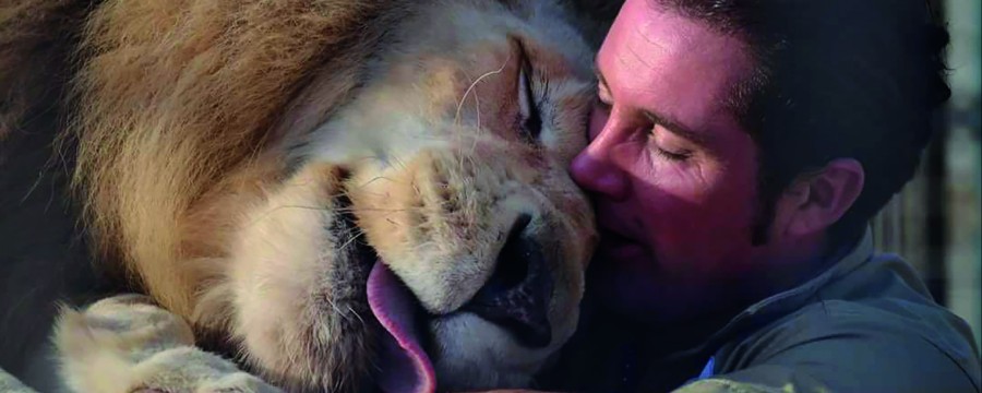 Wildtiere im Zirkus