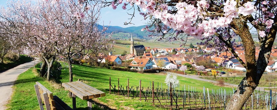 ökodorf von barack obamas öko-berater