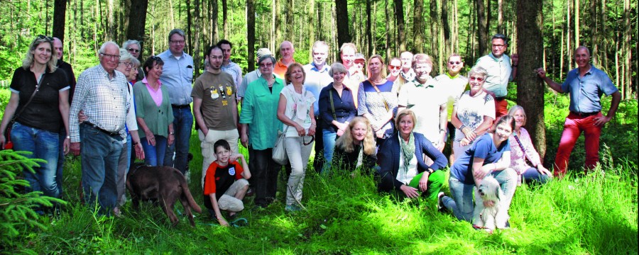 Waldgenossenschaft: Wald in Bürgerhand