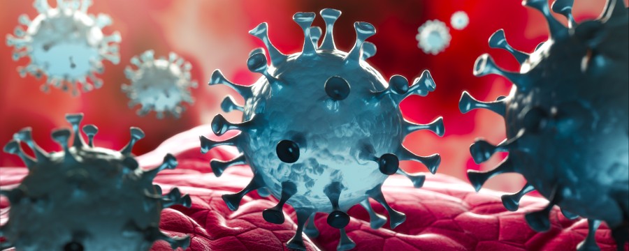 Coronavirus