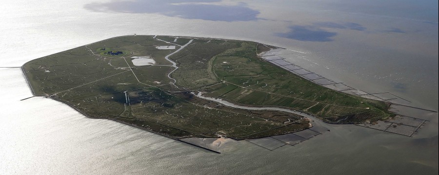 Die Hallig Gröde war Lange die kleinste Gemeinde Deutschlands - jetzt muss sie sich den Titel teilen