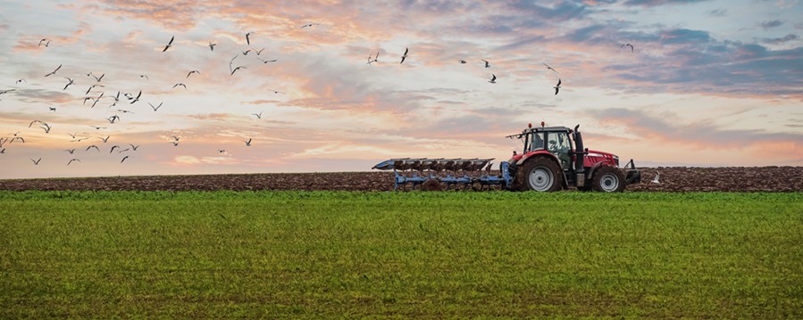 Die Landwirtschaft ist eine der tragenden Säulen unserer Wirtschaft - in diesen Städten ist sie wirtschaftlich besonders erfolgreich! 