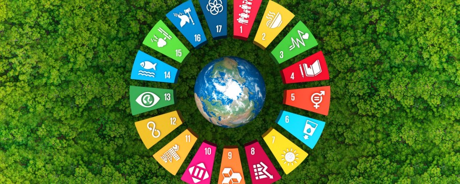 17 globale Nachhaltigkeitsziele im Kreis abgebildet