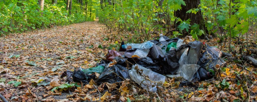 Wild abgelegter Müll im Wald? Ein Ärgernis von vielen!  