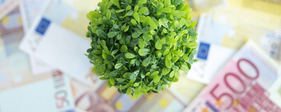 Greenbonds für grüne Investitionen: für Kommunen eine gute Idee?