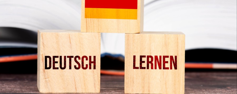 Leichte Sprache ist nicht nur für Menschen wichtig, die Deutsch nicht als Muttersprache beherrschen, sondern auch für Menschen mit Behinderungen