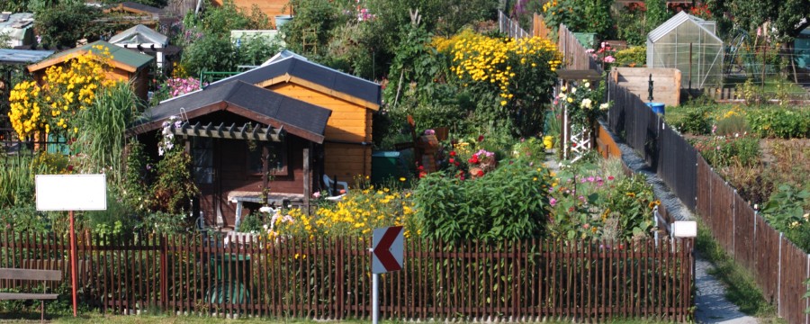 Kleingarten, Parzellen