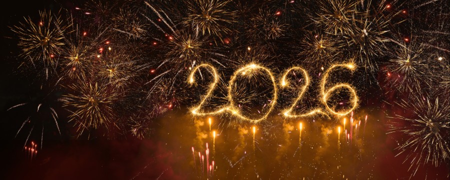 Sollte böllern an Silvester verboten werden?