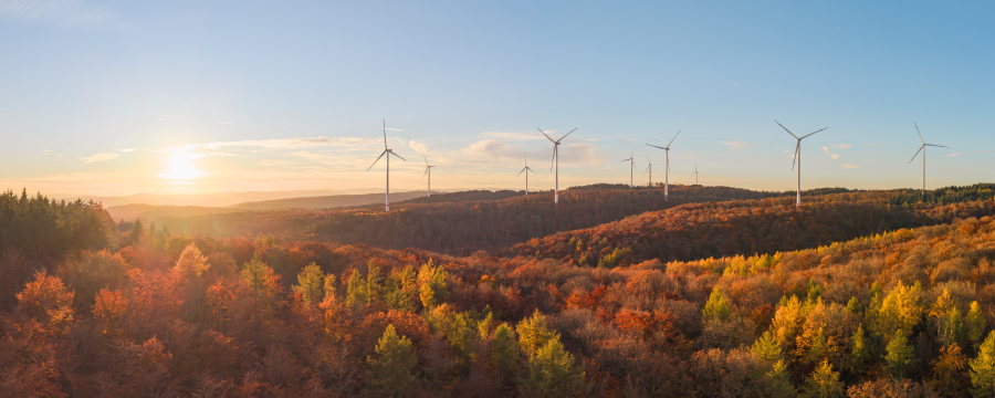 Windkraftanlagen im Wald - Bei einem Bürgerentscheid stimmte die Mehrheit in Schriesheim und Dossenheim für die Windenergie