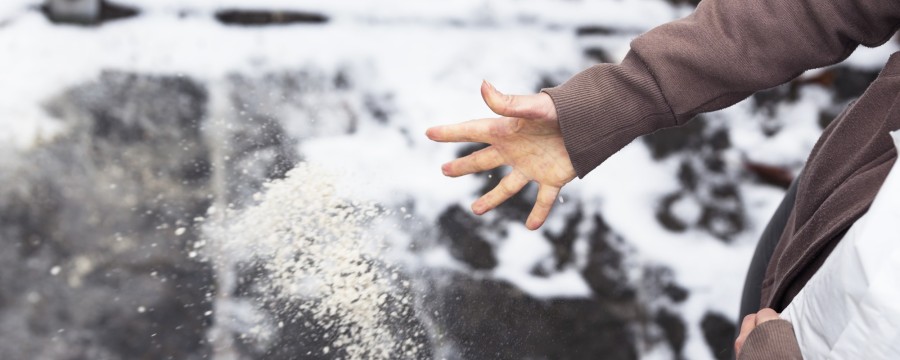 Streusalz in Berlin kippt ein Gericht die Verfügung des Senats