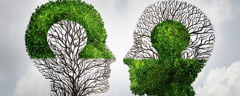 Zwei Köpfe als Baumkronen dargestellt