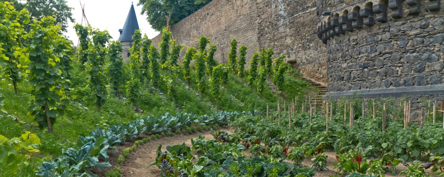 Beete der essbaren Stadt Andernach