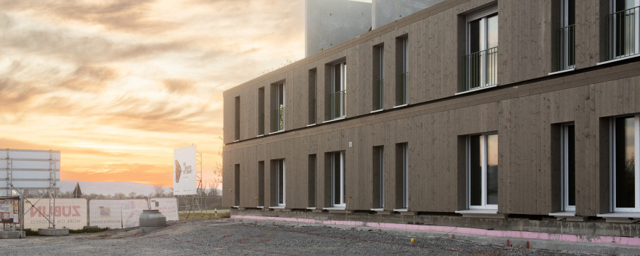 Holz ist ein wichtiger Bestandteil des MOLENO®-Bausystems.