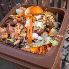 Kommunen wollen Metall und Plastik in Biotonnen reduzieren