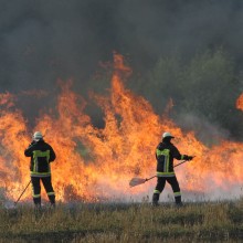 Ein Weizenfeld brennt, die Feuerwehr löscht.