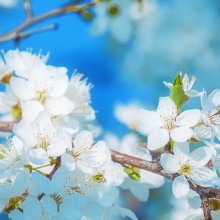 Bei der Städteplanung die Interessen der Natur mitzudenken hilft auch den Menschen vor Ort
