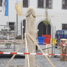 Spargel auf dem Marktplatz von Torgau - oder oder ein Phalussymobol?