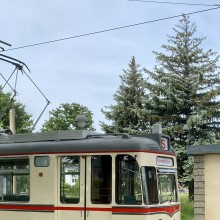 Graffiti-Kunst an den Haltestellen der Thüringer Waldbahn. Sorgsam konzipiert und mühevoll gemalt, werden sie auch von den schlimmsten Schmierfinken gewürdigt.