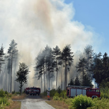 Brennender Wald, davor Einsatzkräfte