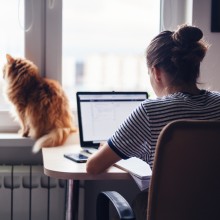 Frau im Homeoffice am PC, daneben eine Katze