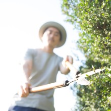 Arbeitspflicht für Asylbewerber Mann schneidet eine Hecke (Symbolbild)