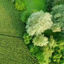 Bäume und Sträucher auf und neben dem Acker: So sollte Landwirtschaft in Zukunft gedacht werden.  