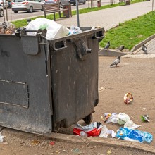Müllcontainer lockt Ratten an.
