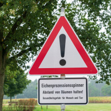 Warnhinweis auf Eichenprozessionsspinner