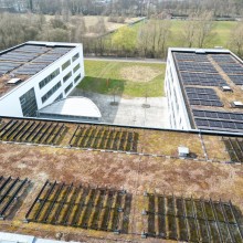 In Oldenburg soll jede Möglichkeit genutzt werden, um Strom aus Sonne zu gewinnen.