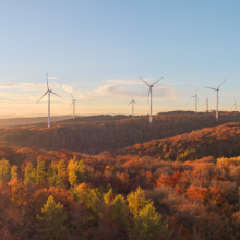 Windkraftanlagen im Wald - Bei einem Bürgerentscheid stimmte die Mehrheit in Schriesheim und Dossenheim für die Windenergie